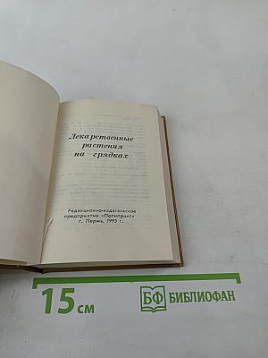 Лекарственные растения на грядках