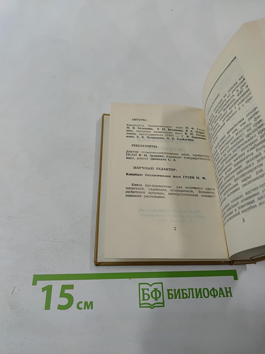 Лекарственные растения на грядках