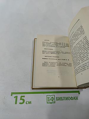 Лекарственные растения на грядках