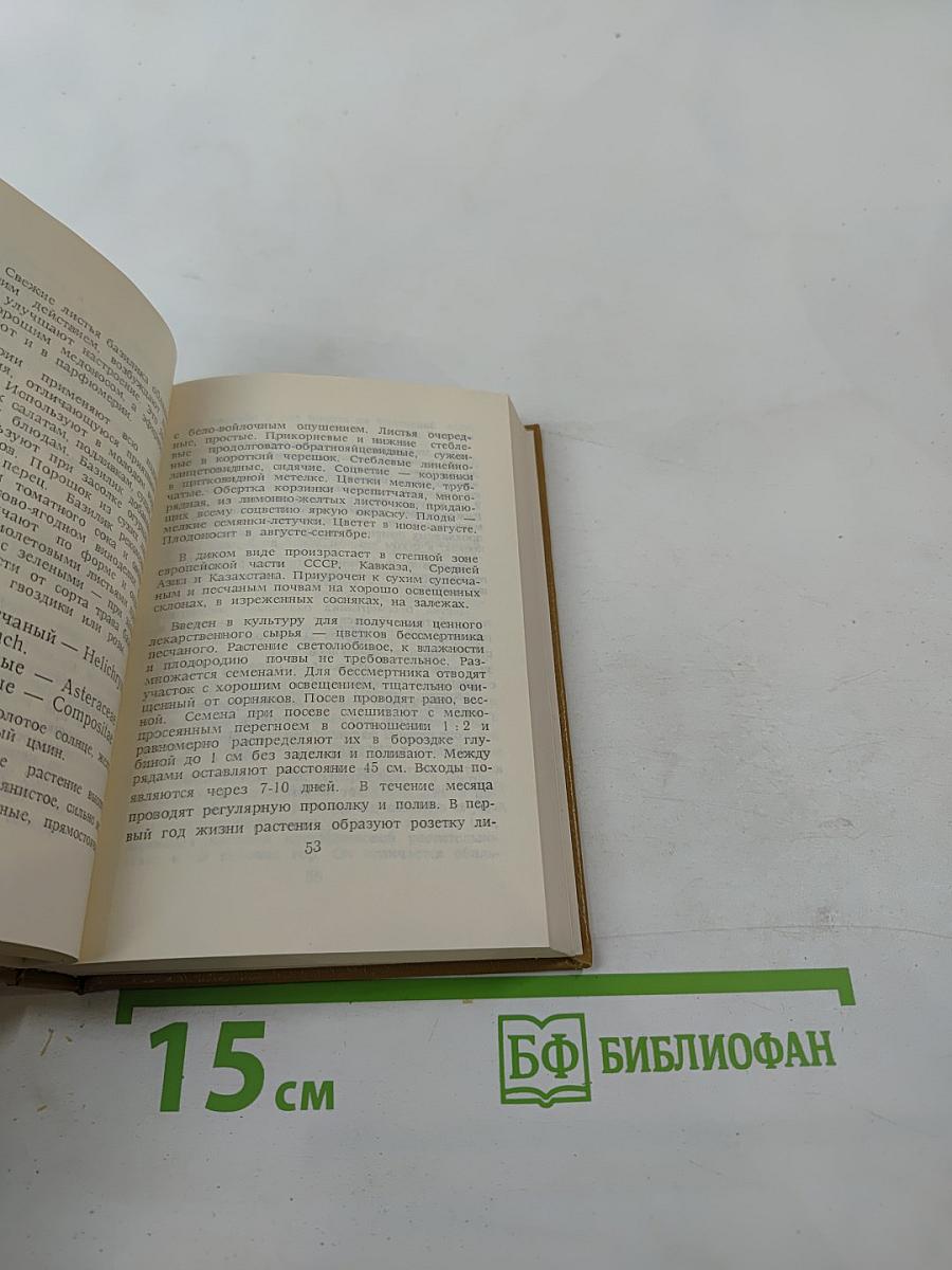 Лекарственные растения на грядках