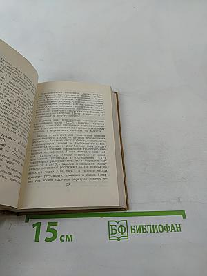 Лекарственные растения на грядках