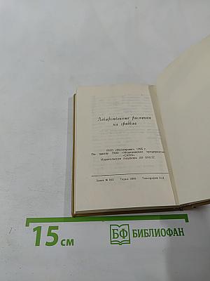 Лекарственные растения на грядках