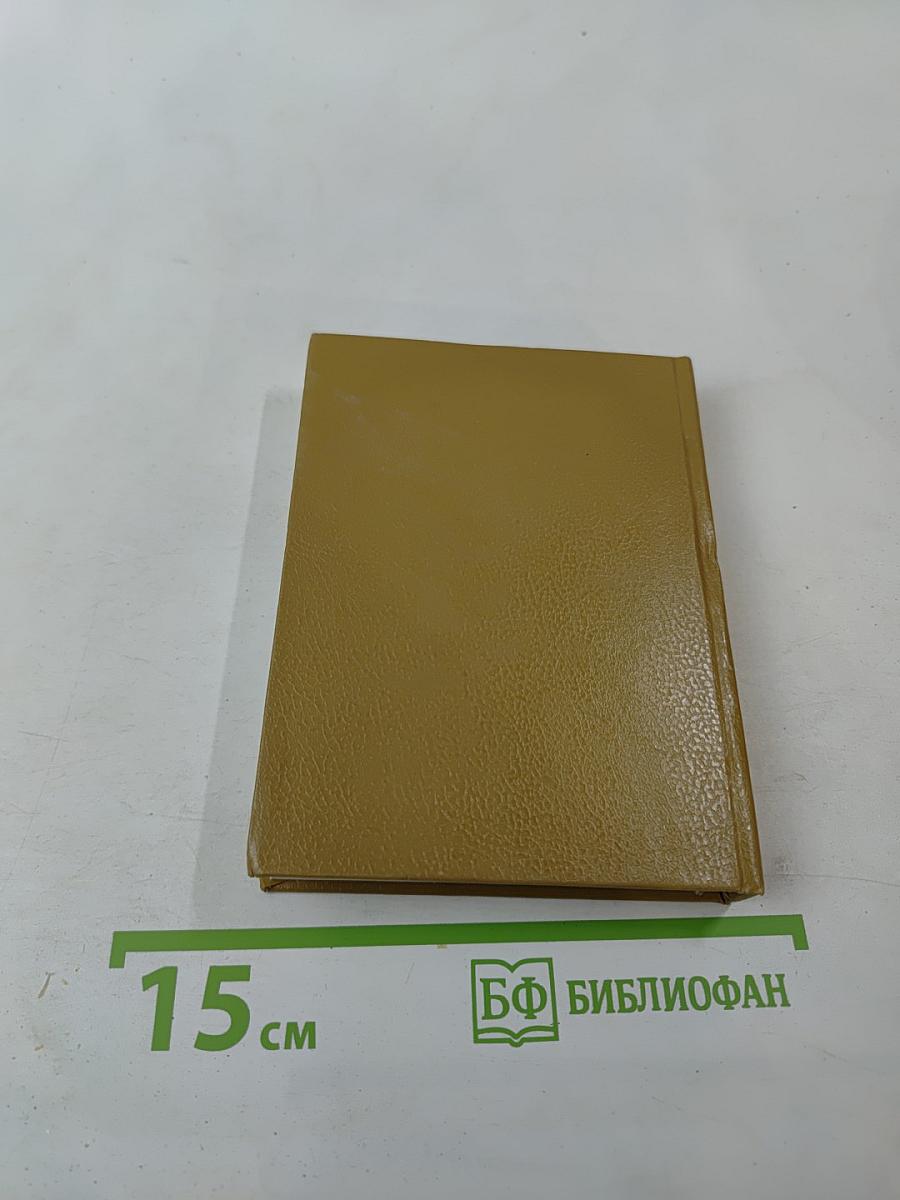 Лекарственные растения на грядках