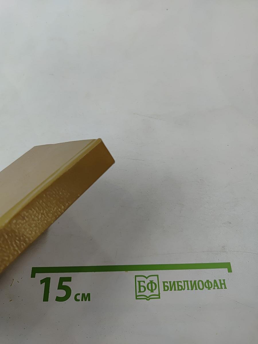 Лекарственные растения на грядках