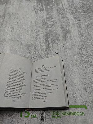 Палитра поэзии