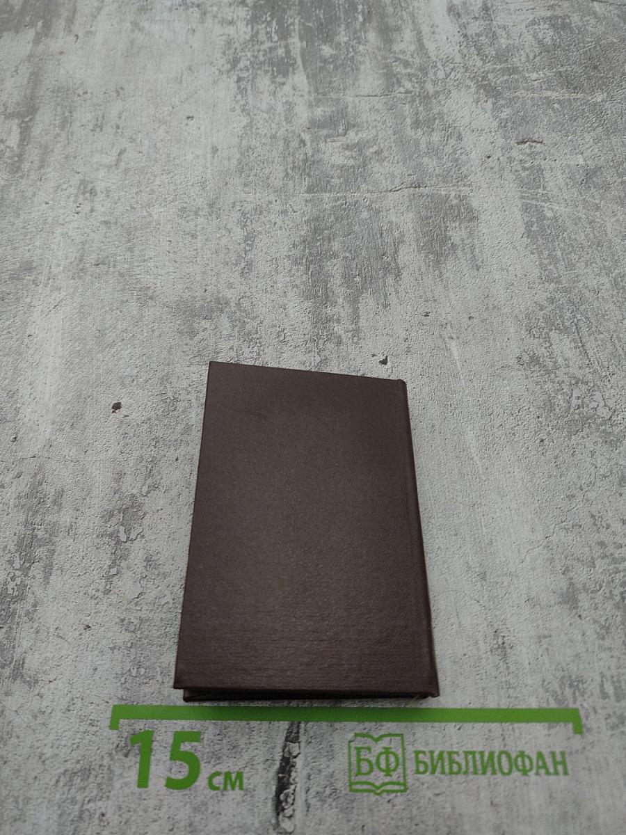 Палитра поэзии