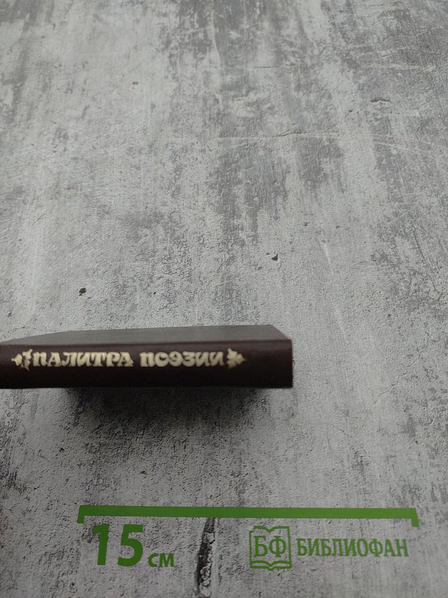 Палитра поэзии