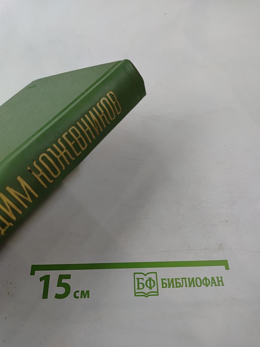 Собрание сочинений Том шестой: Щит и меч. Книга вторая