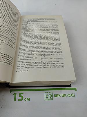 Жизнь Клима Самгина. Том 22