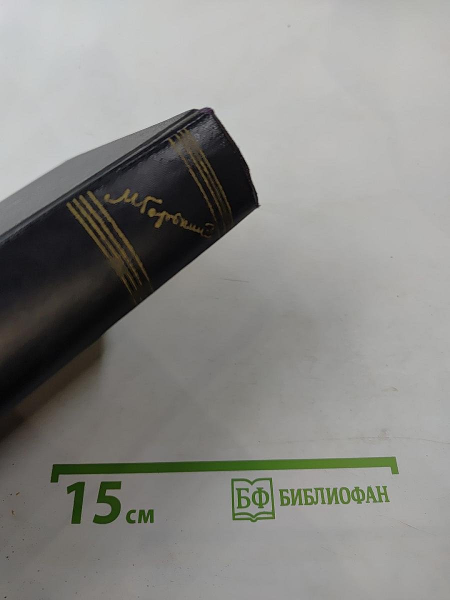 Жизнь Клима Самгина. Том 22