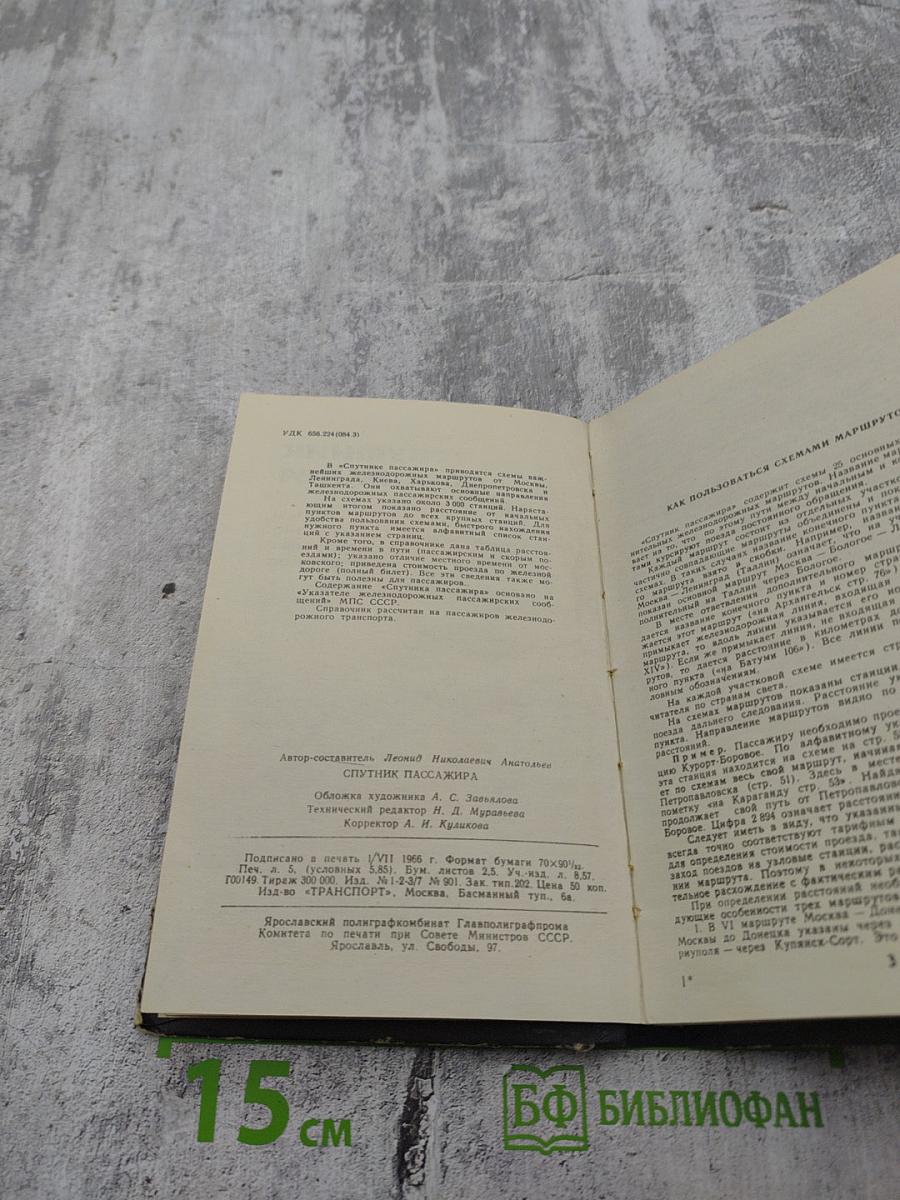 Спутник пассажира