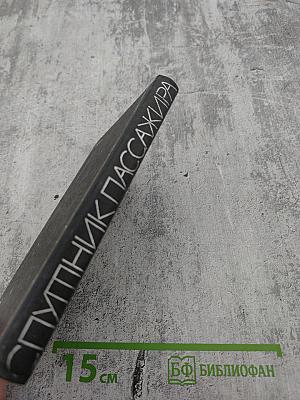 Спутник пассажира