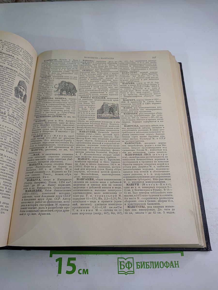 Энциклопедический словарь. Том 2. К-Я