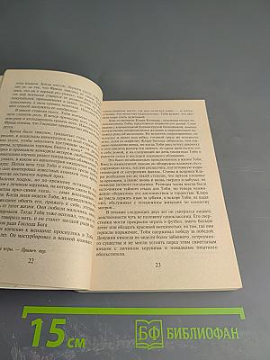 Незнакомец в зеркале