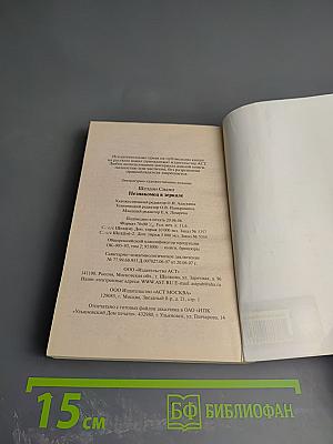 Незнакомец в зеркале