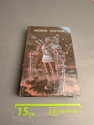 Кошачьим взглядом. Звездная стража. Зеркало Мерлина