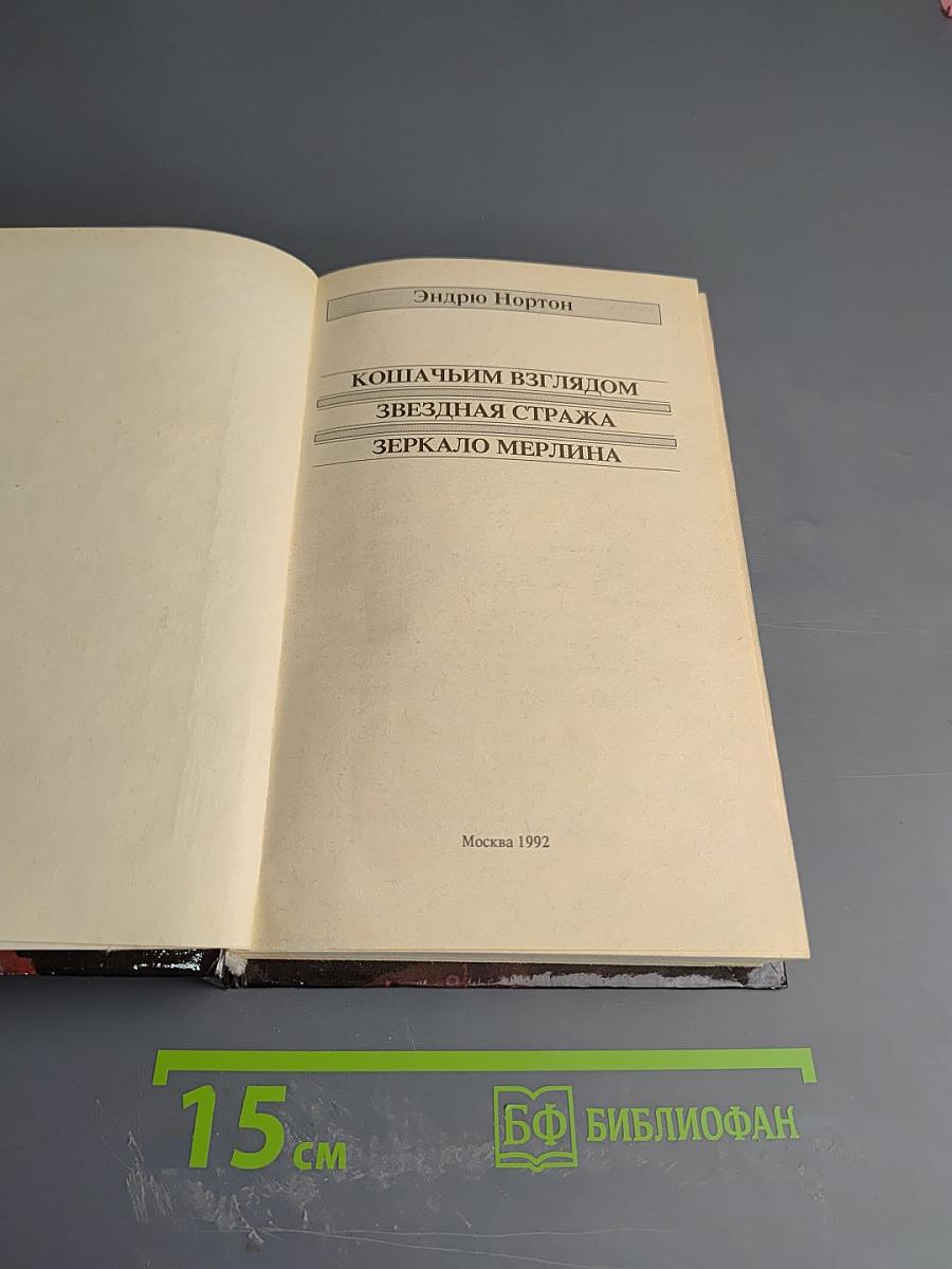 Кошачьим взглядом. Звездная стража. Зеркало Мерлина