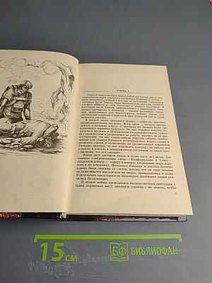 Кошачьим взглядом. Звездная стража. Зеркало Мерлина