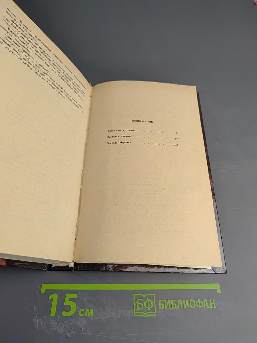 Кошачьим взглядом. Звездная стража. Зеркало Мерлина