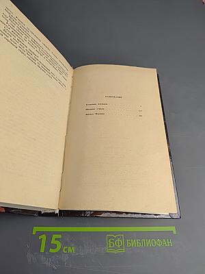 Кошачьим взглядом. Звездная стража. Зеркало Мерлина