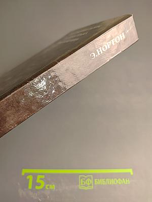 Кошачьим взглядом. Звездная стража. Зеркало Мерлина