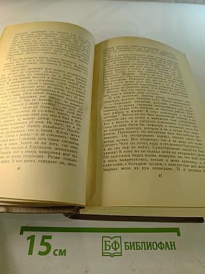 Шолом-Алейхем. Собрание сочинений в шести томах. Том пятый: Рассказы