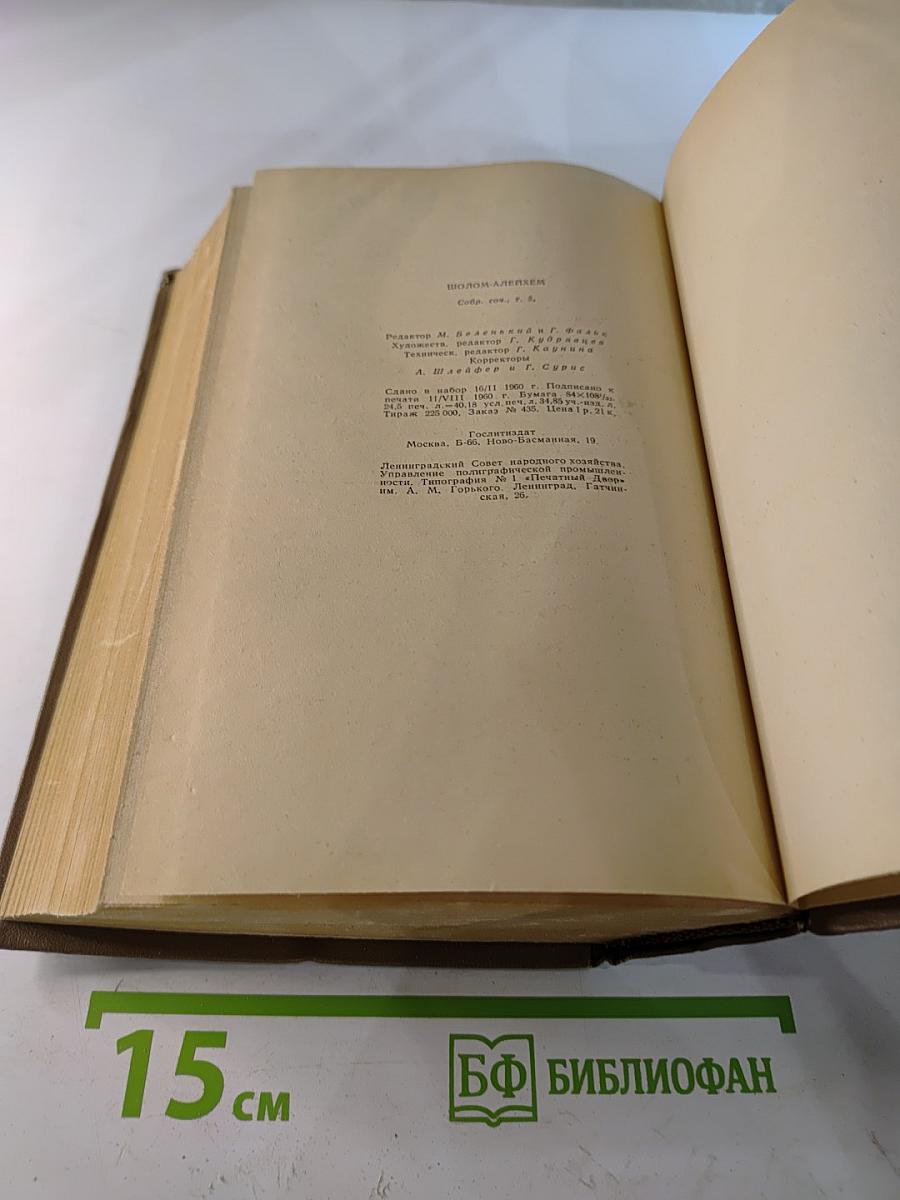 Шолом-Алейхем. Собрание сочинений в шести томах. Том пятый: Рассказы