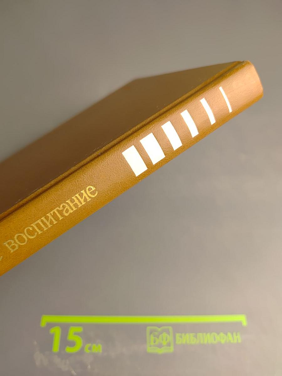 Семейное воспитание. Краткий словарь