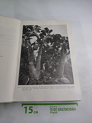 Das Sukkulenten lexikon