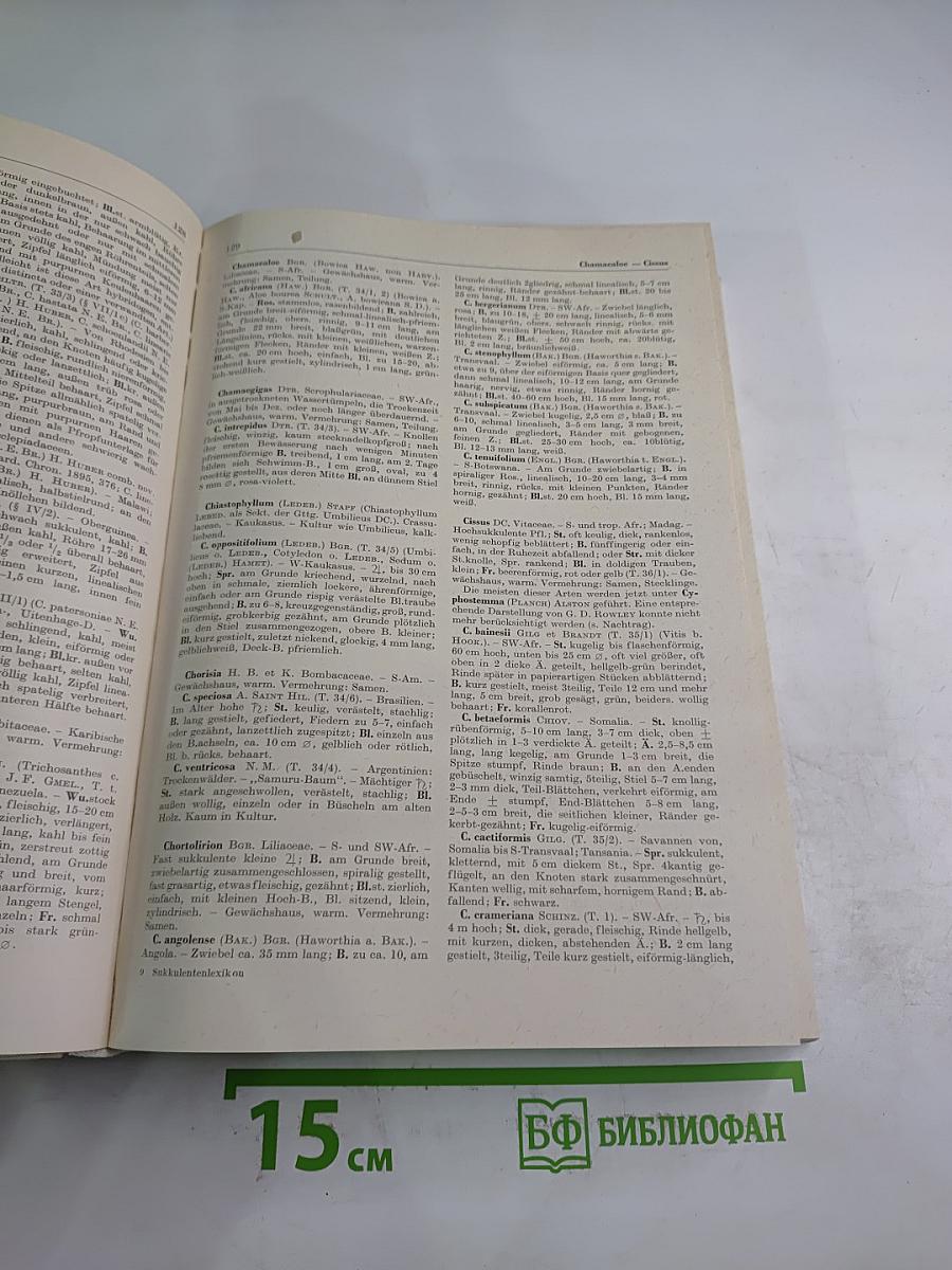 Das Sukkulenten lexikon