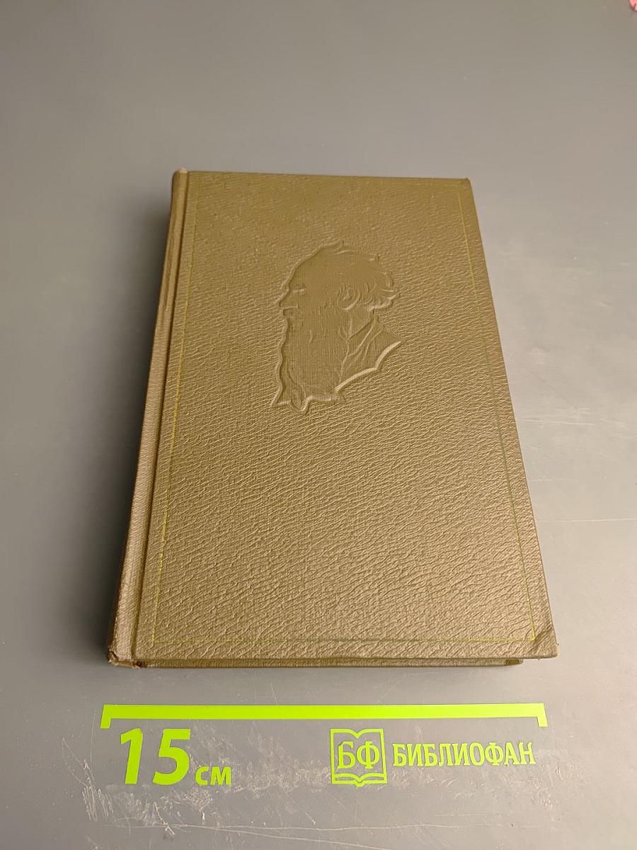 Дневники 1847–1894 гг. (Собрание сочинений. Том девятнадцатый)