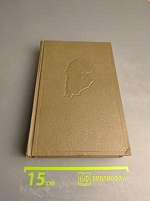 Дневники 1847–1894 гг. (Собрание сочинений. Том девятнадцатый)