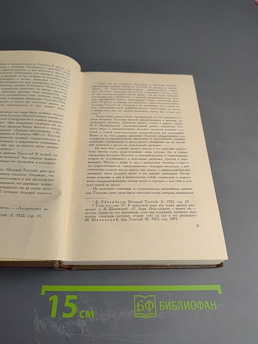 Дневники 1847–1894 гг. (Собрание сочинений. Том девятнадцатый)