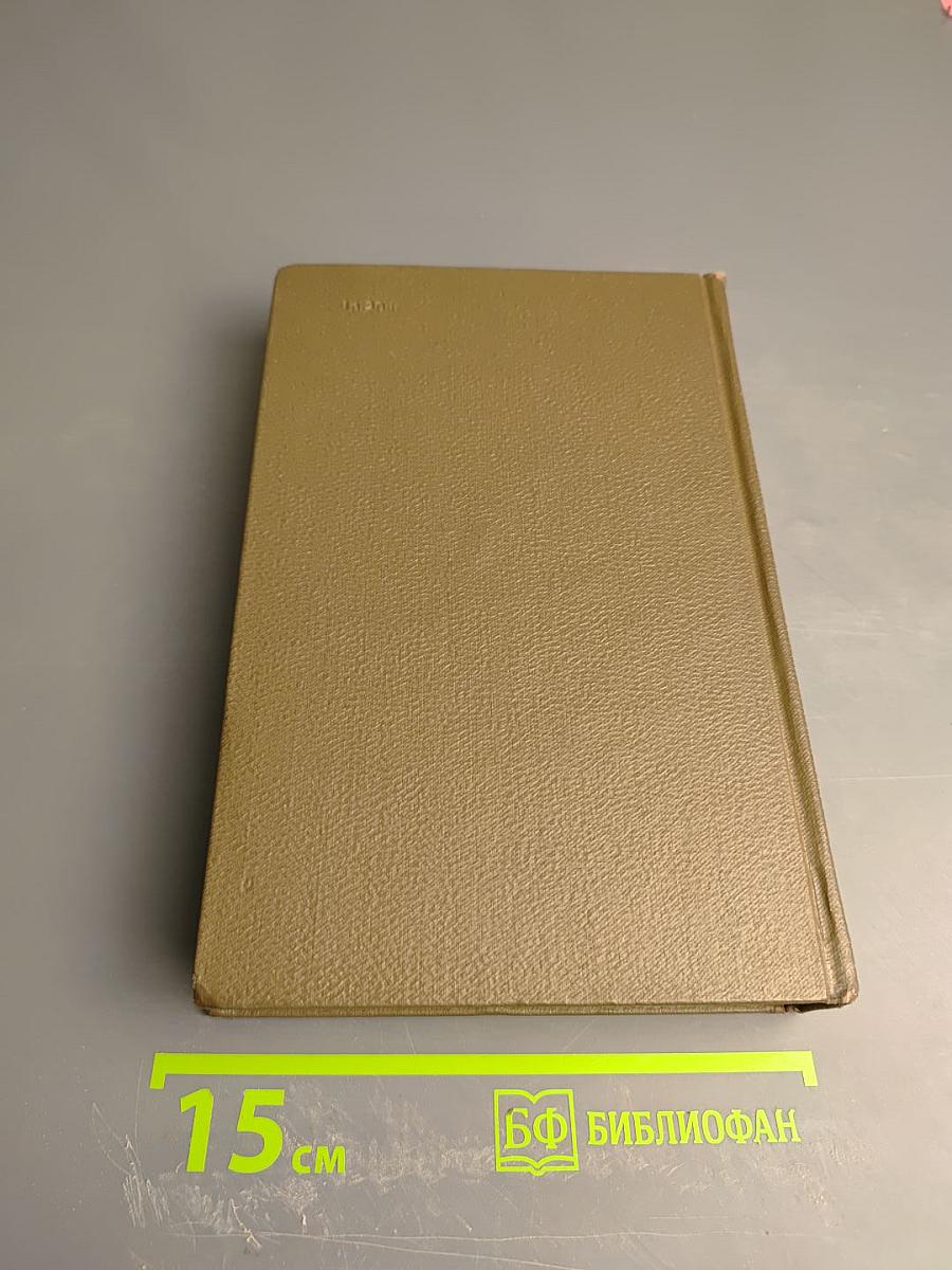 Дневники 1847–1894 гг. (Собрание сочинений. Том девятнадцатый)