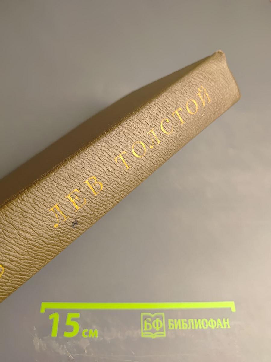 Дневники 1847–1894 гг. (Собрание сочинений. Том девятнадцатый)