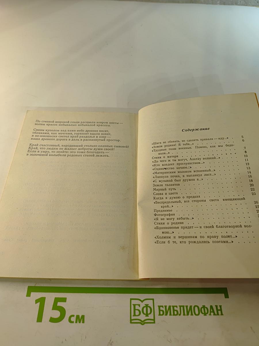 Степная дорога