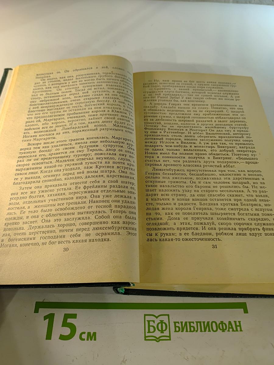 Лион Фейхтвангер. Безобразная герцогиня; Семья Опперман
