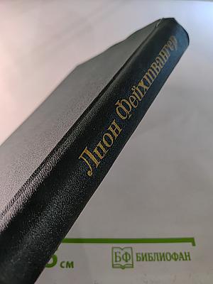 Лион Фейхтвангер. Безобразная герцогиня; Семья Опперман