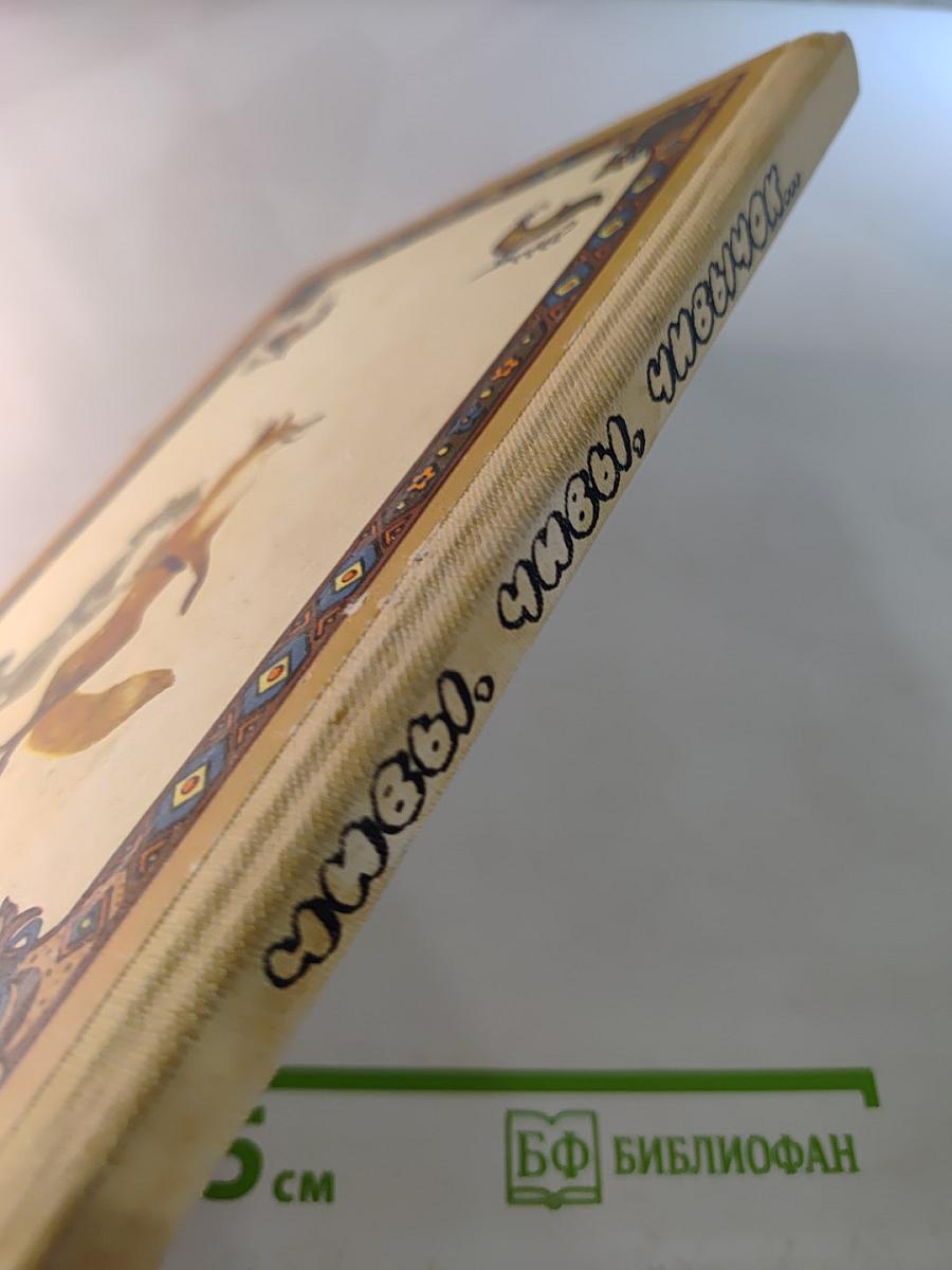 Чивы, чивы, чивычок...