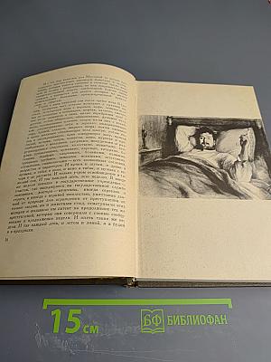 Воскресение (Собрание сочинений том тринадцатый)