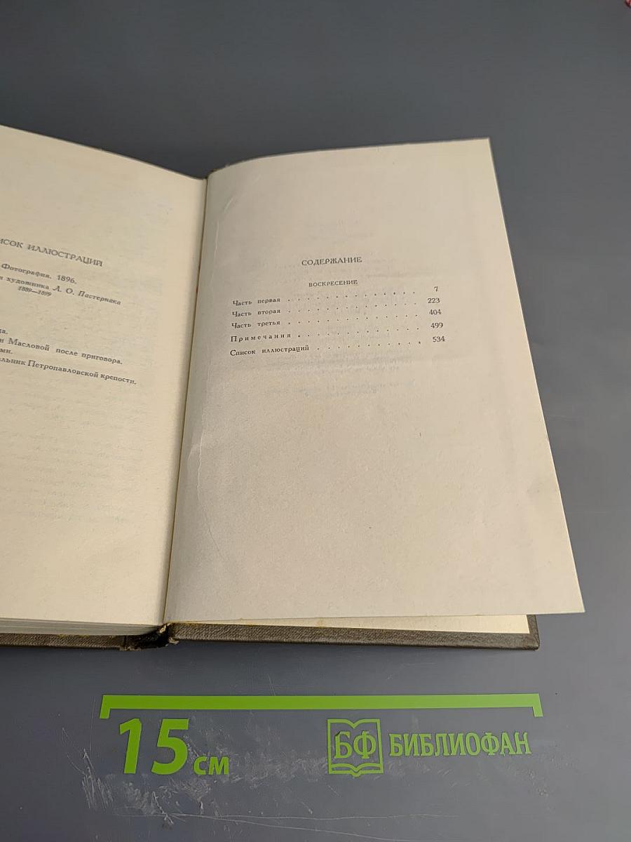 Воскресение (Собрание сочинений том тринадцатый)