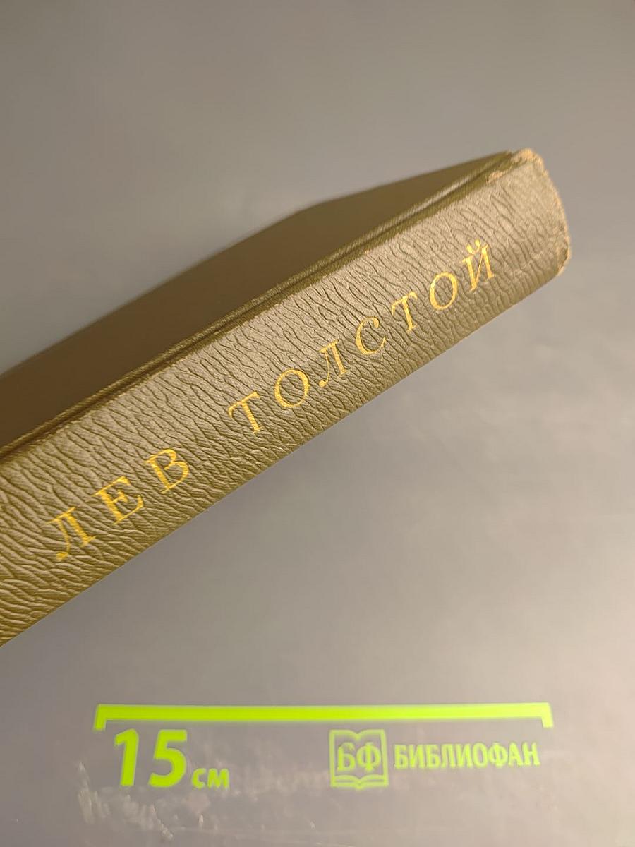 Воскресение (Собрание сочинений том тринадцатый)