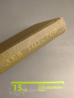 Воскресение (Собрание сочинений том тринадцатый)