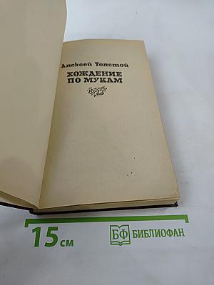 Хождение по мукам. Книга вторая: Восемнадцатый год