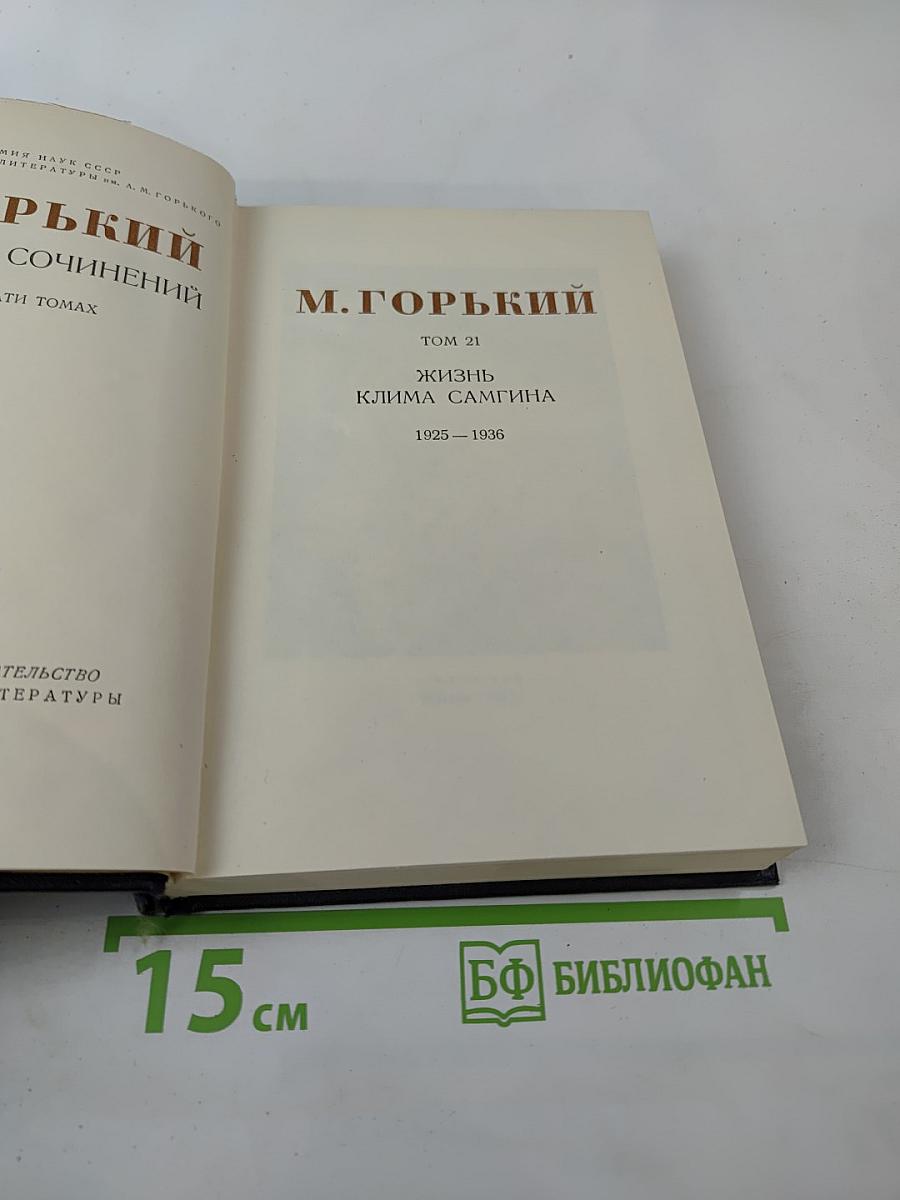 Жизнь Клима Самгина. Том 21