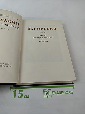 Жизнь Клима Самгина. Том 21