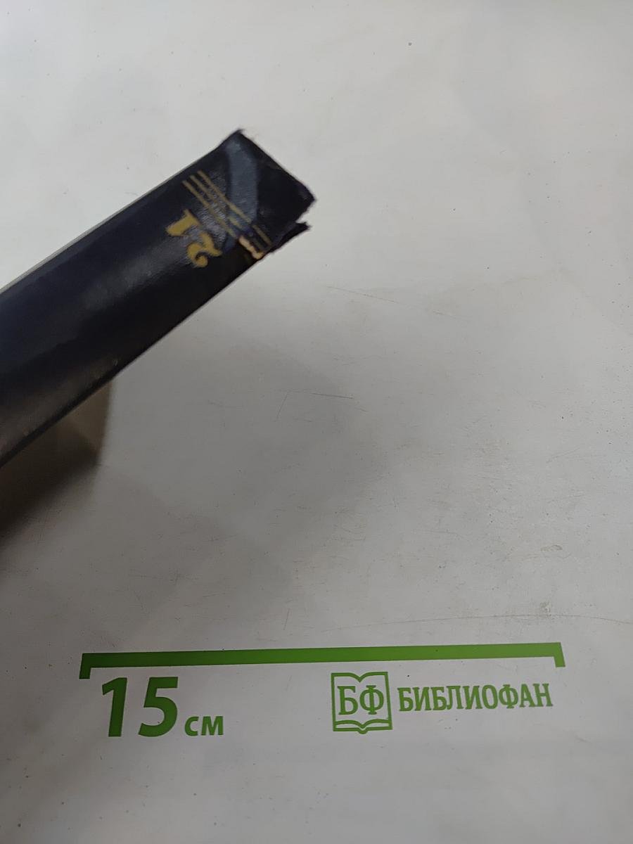 Жизнь Клима Самгина. Том 21