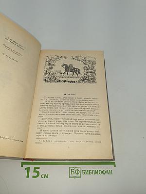 Всадник без головы