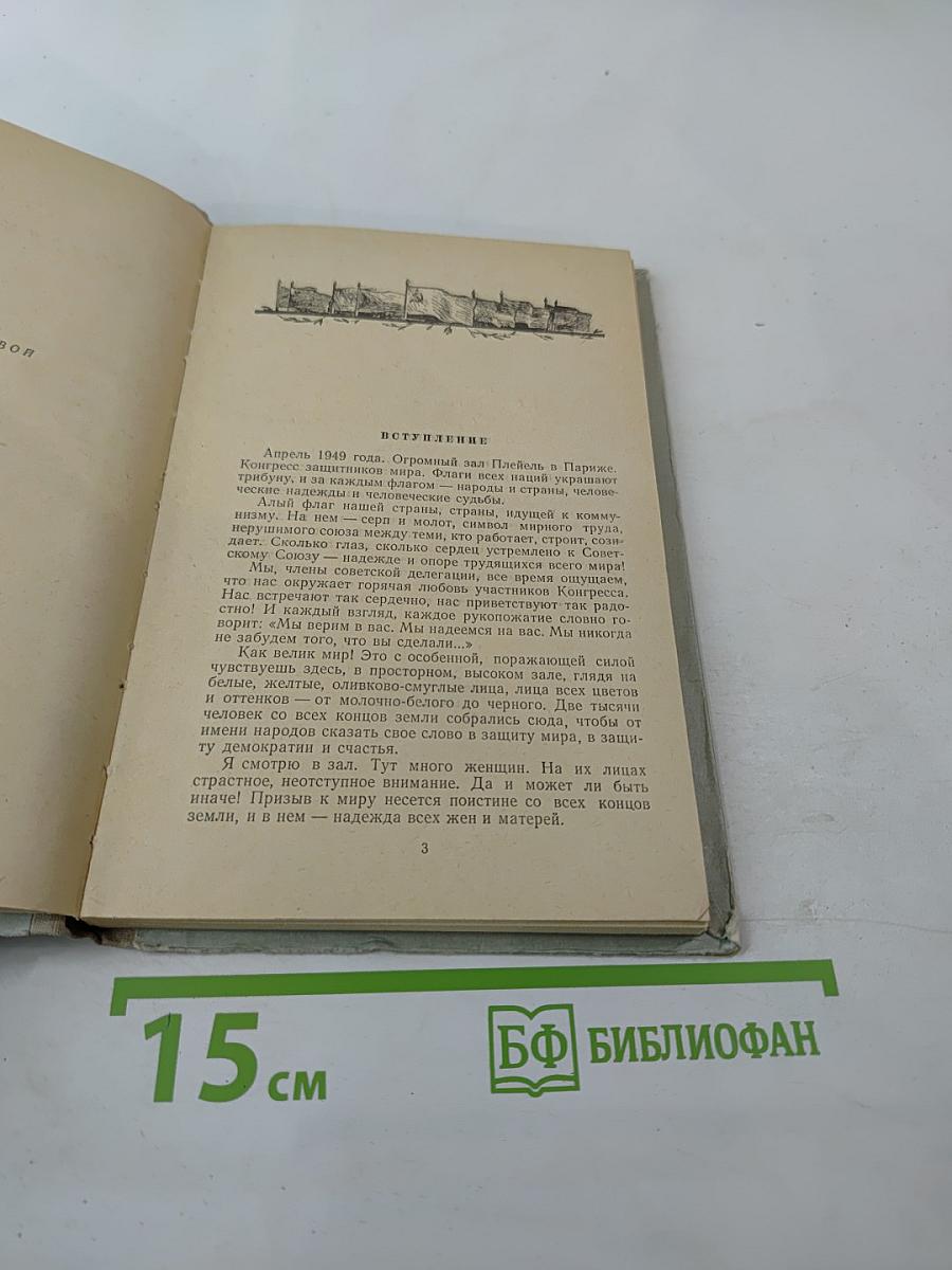 Повесть о Зое и Шуре