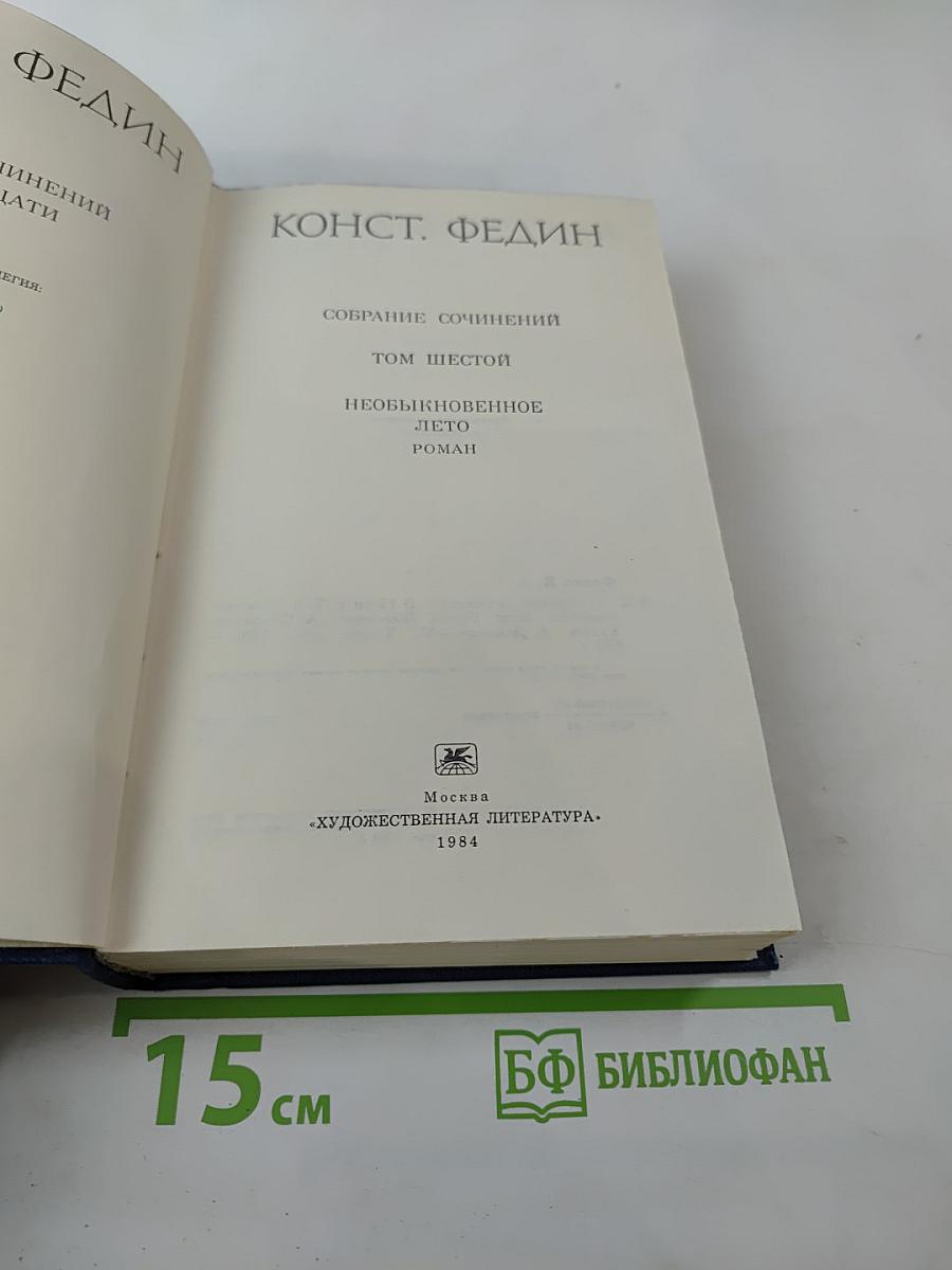 Необыкновенное лето. Роман